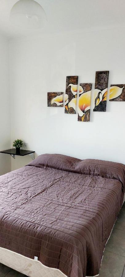 Ferienwohnung El Cerezo Mendoza Exterior foto